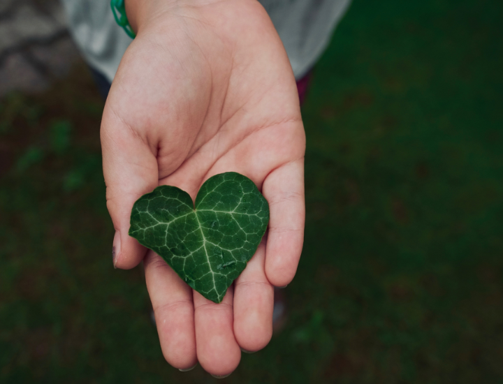 Sustainable Luxury: How Luxe Lane is Redefining Eco-Friendly Fashion