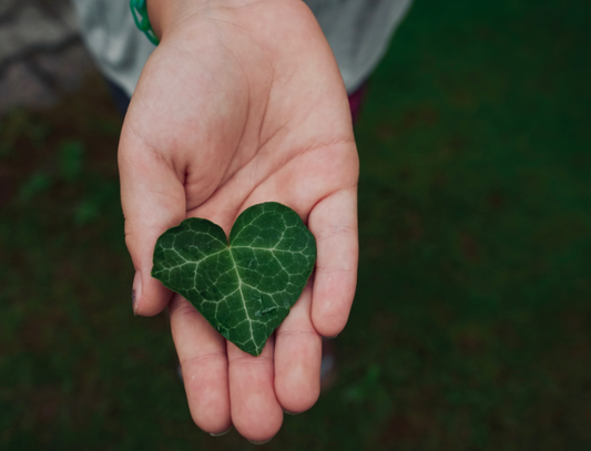 Sustainable Luxury: How Luxe Lane is Redefining Eco-Friendly Fashion